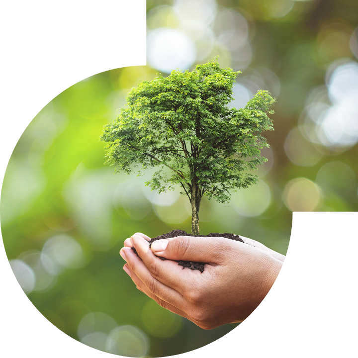 关怀人类、文化、环境与社会